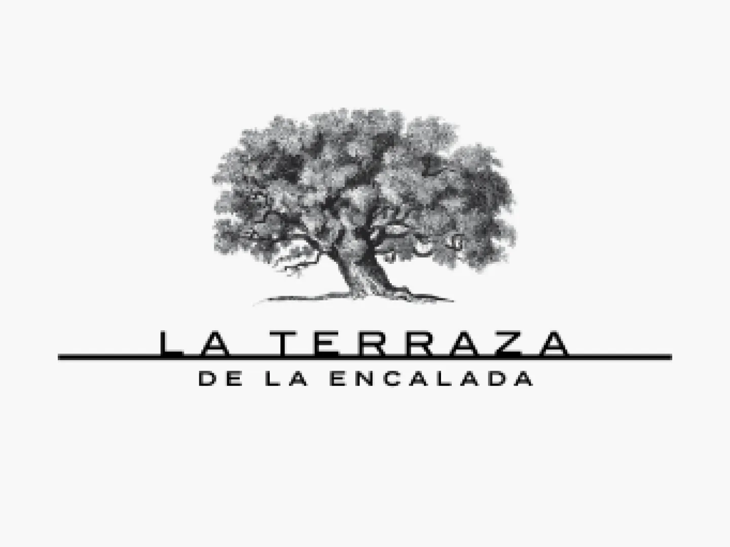 laterrzaqwd