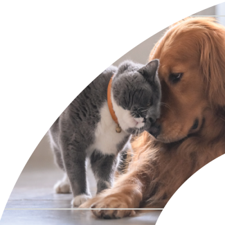 BANNER_PETS